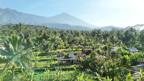 Kecamatan Pringgasela House | Ponjol Cottages Tetebatu