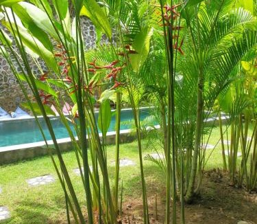 Kuta House | Pool House Studios