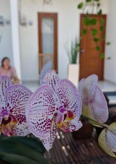 Selat Apartment | Puri Indah Inn