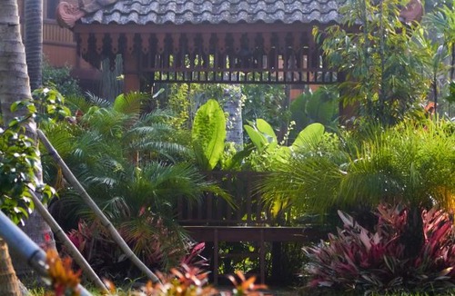 Dinoyo House | Ratu Roso Resort