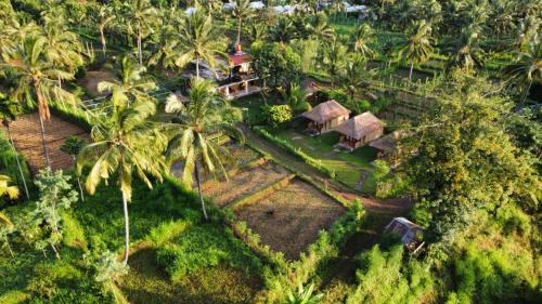 Bayan House | Rinjani Eco Villa Senaru