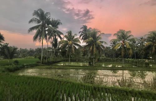 Kotaraja House | Rinjani Terrace Cottage