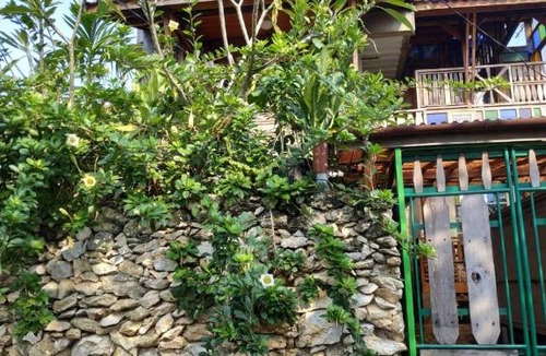 Depok House | Rumah Sawomateng