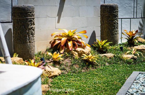 Suraberata House | Segara Living 1