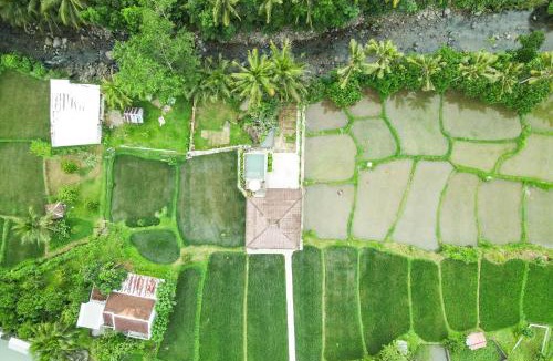 Pemenang Cabin | Semu Villa - Three Bedroom Private Pool Villa
