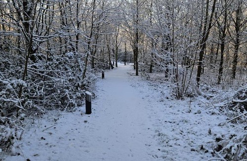 Denstone Apartment | Silver Birch Nabb Lane Woods Hot tub near Alton Towers