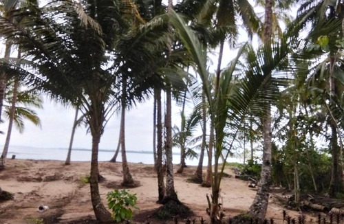 Pulau Masokut House | sunsetlodge Mentawai