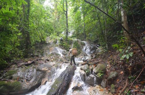 Baru Other | Survival Trip Leuser Eco Stay