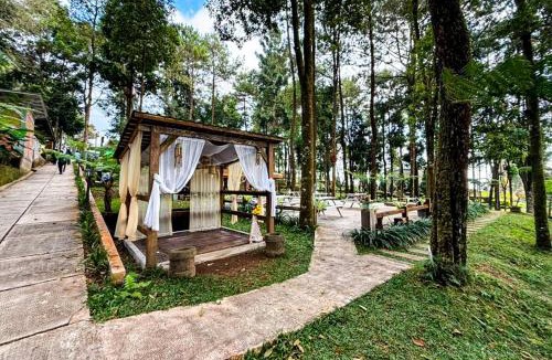Hargomulyo House | Tenggir Park Cottage and Glamping Tawangmangu
