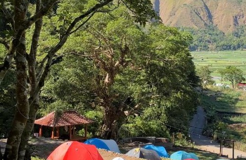Kecamatan Sembalun Other | Terassada Camp