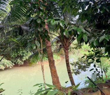 Java Villa | The Haven Riverside Villa Pangandaran