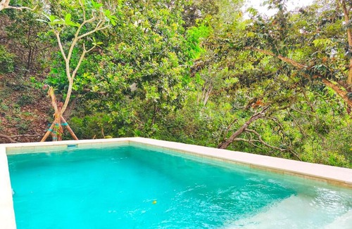 Kuta Villa | The Nest Villa - Jungle Escape - 2bed Kuta Heights