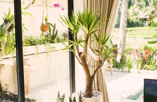 Pejeng Apartment | Ubud Dzen Villas
