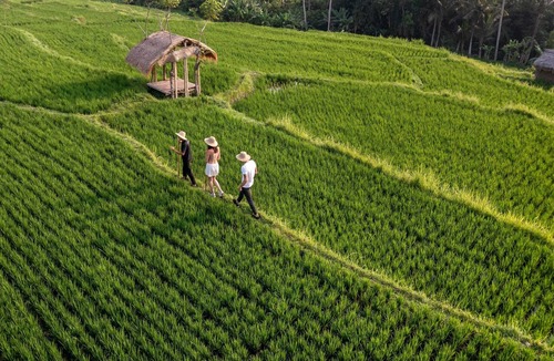 Lodtunduh Hotel | Ubud Nyuh Bali Resort & Spa