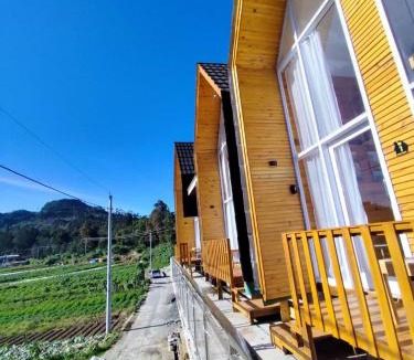 Kejajar Hotel | Villa Celyn Dieng cabin