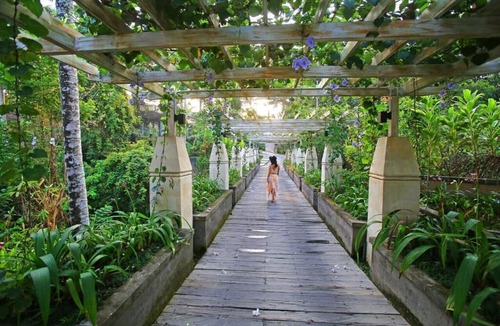 Ubud Hotel | Wapa di Ume Ubud