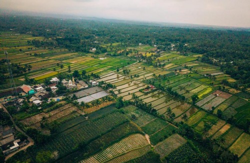 Tetebatu Bed & Breakfast | Zafana Bungalows