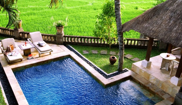 2 bedroom family pool villa in ubud in Ubud