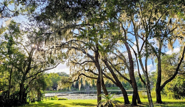 2-bedroom house in beautiful Lake Helen with air conditioning in Lake Helen