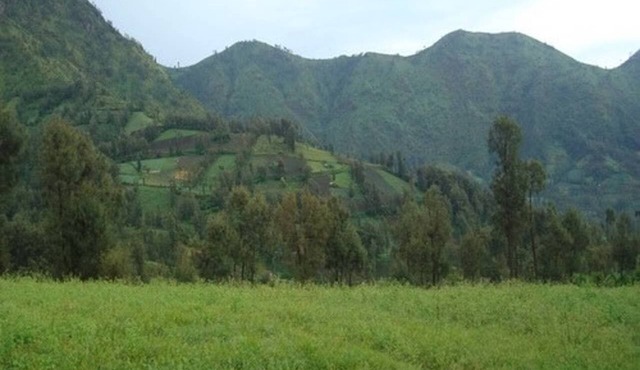A double bedroom near Rehat Bromo Rst. & Warung Rinjani