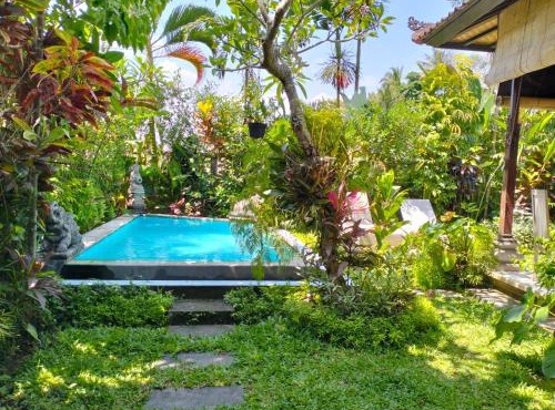 A Lush Tropical Villa in Ubud Rice Fields in Ubud