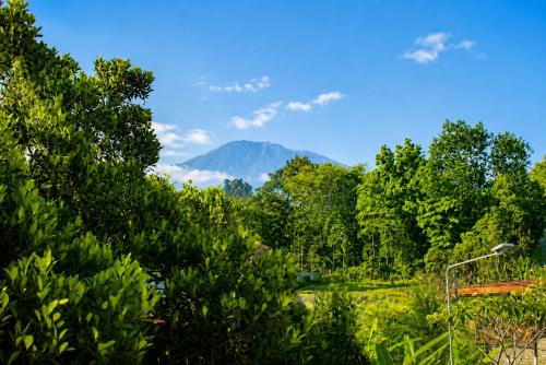 Adyara Homestay in Sidemen