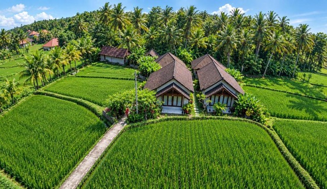 Amaya Ricefield & Jungle Cottages by Best Living in Ubud