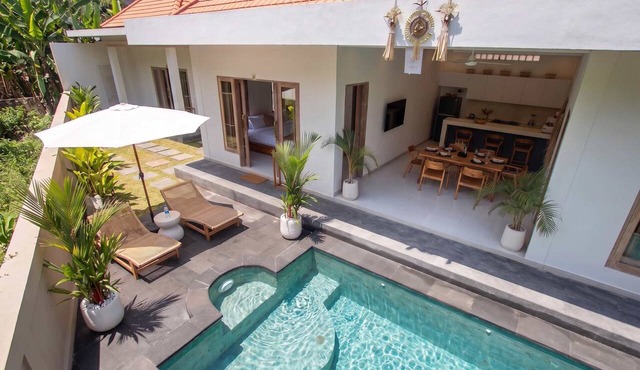 Amazing Jungle view, 3BDR, Canggu, huge Pool in Kabupaten Badung