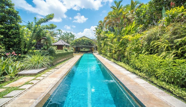 Artist Garden house/home in Batubelig, by the beach, quiet secured high end area in kerobokan