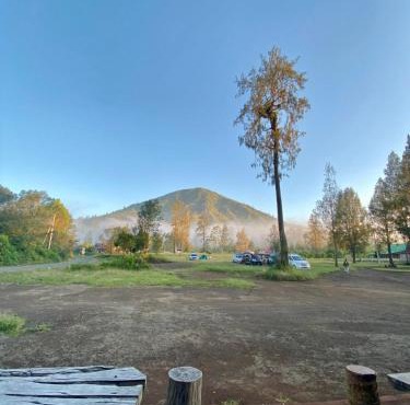 Avrilla Ijen Cool homestay