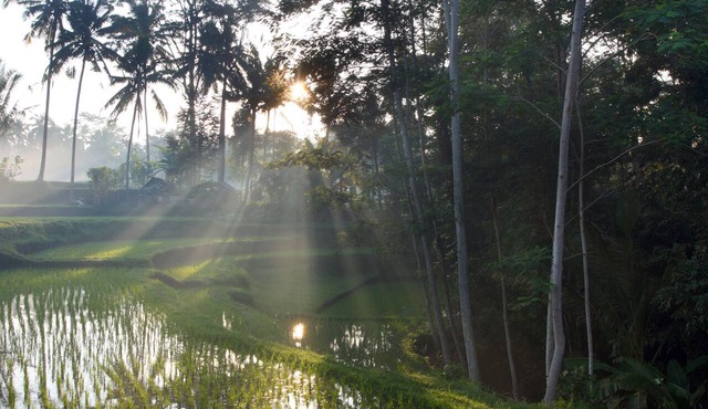 BeingSattvaa Luxury Ubud in Ubud