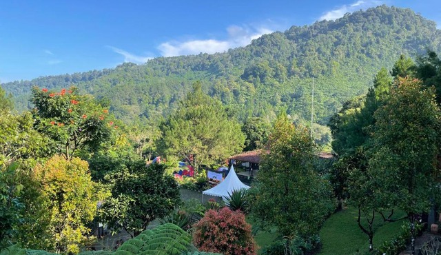 Camp de Katarina
