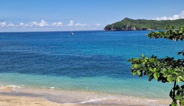 Castaway Surf Retreat