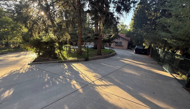 Charming Mountain house in Colorado Springs perfect for your getaway in Colorado Springs