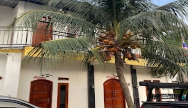 Cozzy Homestay Edo Pahawang in Batu Menyan