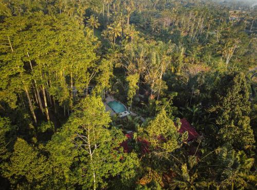 Daydream Lodge Tegallalang in Tampaksiring