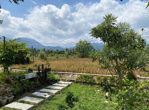 Djojo Bungalow - Jungle Trekking & Transportation - BUKIT LAWANG - NORTH SUMATERA in Timbanglawang