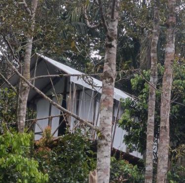 Escape Leuser Glamping in Timbanglawang