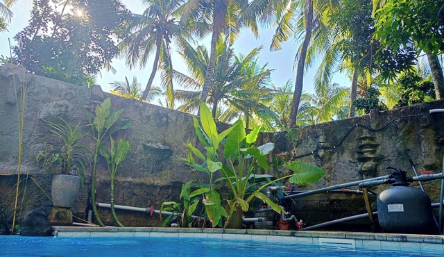 gallerycookery mermaid in Kubutambahan
