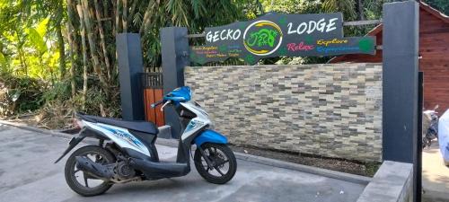 Gecko Lodge