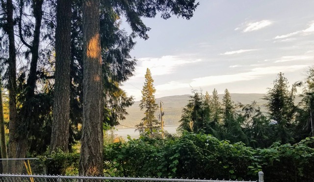 Great view !! Grape Vine Near The Lake a must see . in Anglemont