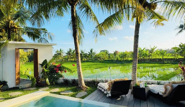 Honeymoon Villa Private Pool Rice View Ubud