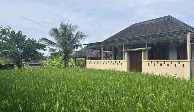 Ketut's Place Penestanan Ubud in Ubud