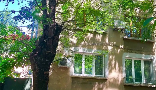 Large, Quiet and Spacious Apartment - 15 min from City Centre! in Sofia