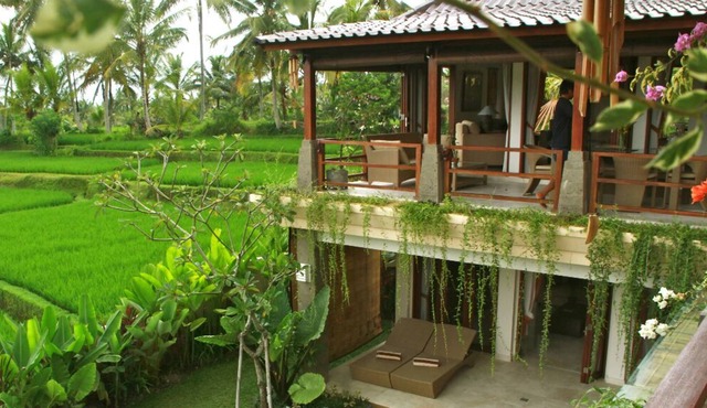 Look No Further! 3BR luxury Villa Solera in ricefields, short walk to Ubud in Ubud