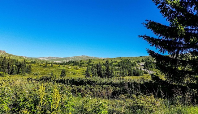 Magnificent Studio With Stunning Views Of Vitosha in SOFIA