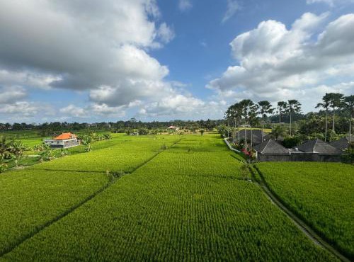 Puri Taksu Guest House in Ubud