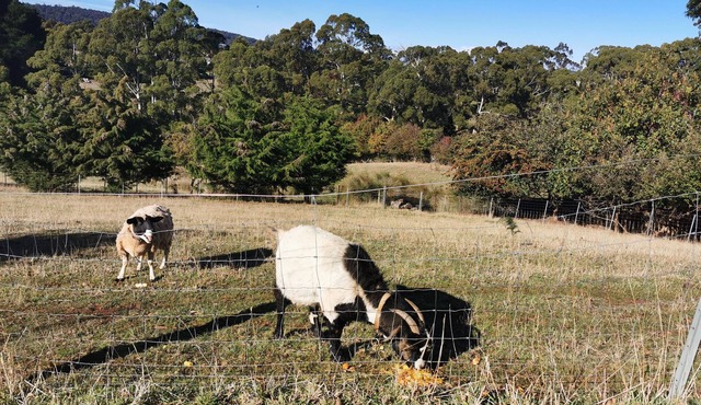 Quiet country area 5 mins from Devonport - central location in Don