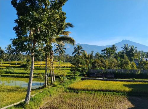 Rinjani inn Lombok
