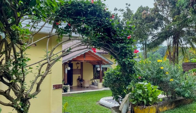Sumatra Monkey Trekking in Bukit Lawang